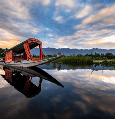 Srinagar